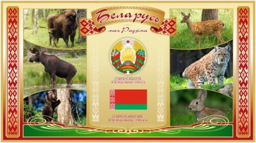 Стенд Животный мир Беларуси