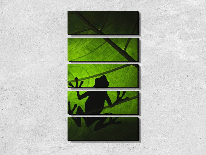 Зеленый лист и лягушка