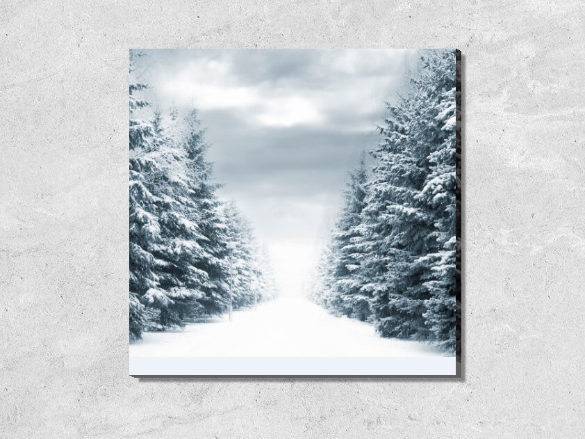 Картина Снежный лес