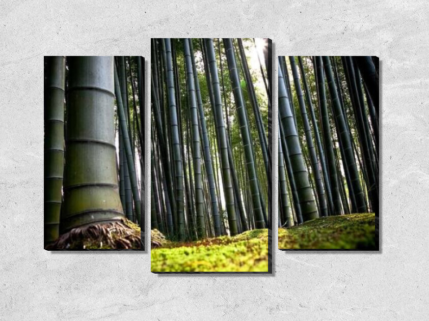 Картина Бамбуковый лес
