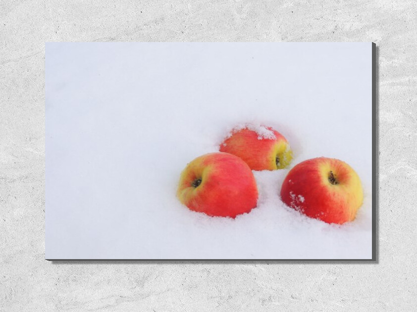 Картина Яблоки на снегу