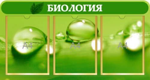 Стенд в кабинет Биологии на 3 кармана А4