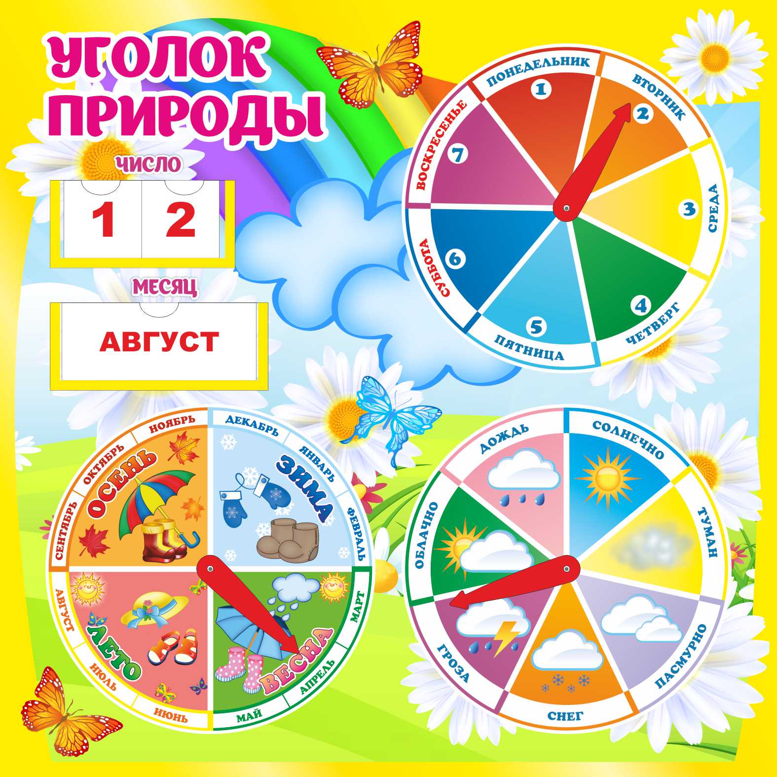 Уголок природы Ромашки Уголок природы Ромашки