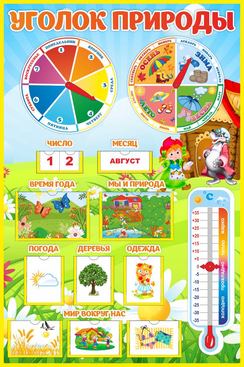 Уголок природы Красная Шапочка