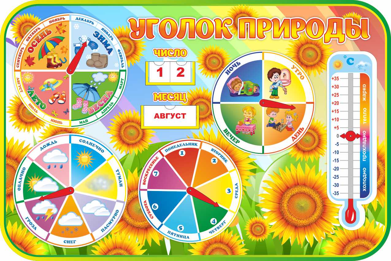 Уголок природы с градусником Подсолнухи Уголок природы с градусником Подсолнухи